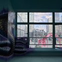 IMG_8447_20250719