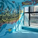 IMG_8473_20250719