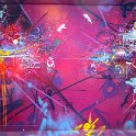 IMG_8481_20250719