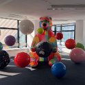 IMG_8488_20250719