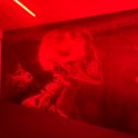 IMG_8491_20250719